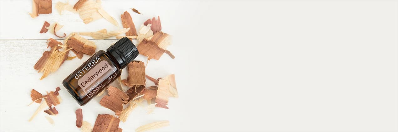 Uleiul esential doTERRA Cedarwood